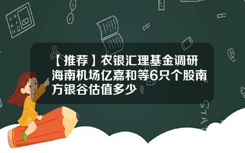 【推荐】农银汇理基金调研海南机场亿嘉和等6只个股南方银谷估值多少