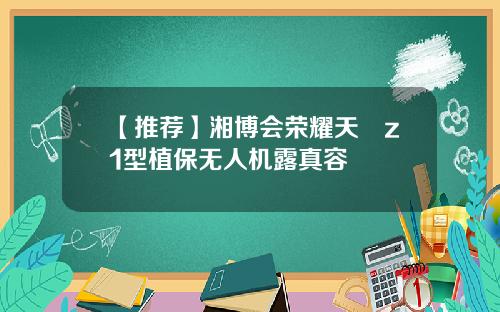 【推荐】湘博会荣耀天翃z1型植保无人机露真容