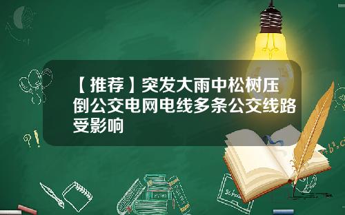 【推荐】突发大雨中松树压倒公交电网电线多条公交线路受影响