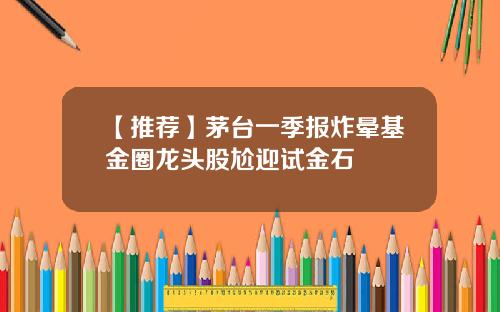 【推荐】茅台一季报炸晕基金圈龙头股尬迎试金石