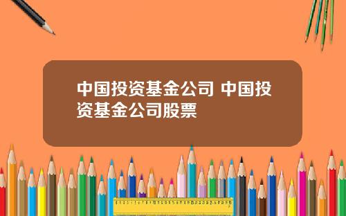 中国投资基金公司 中国投资基金公司股票