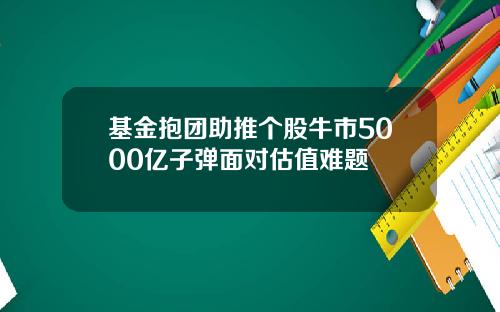 基金抱团助推个股牛市5000亿子弹面对估值难题