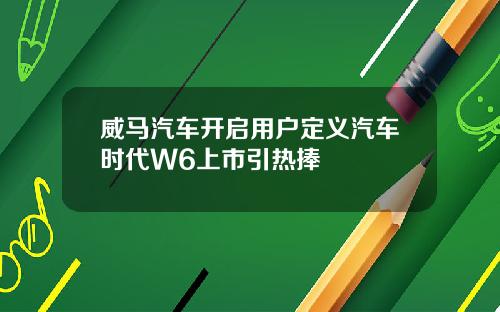 威马汽车开启用户定义汽车时代W6上市引热捧