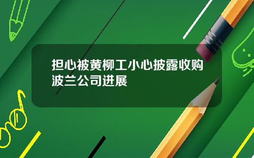 担心被黄柳工小心披露收购波兰公司进展