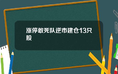 涨停敢死队逆市建仓13只股