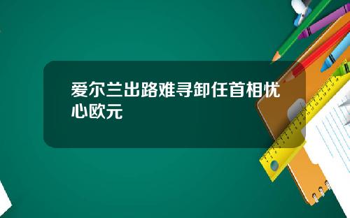 爱尔兰出路难寻卸任首相忧心欧元