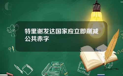 特里谢发达国家应立即削减公共赤字