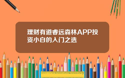 理财有道睿远森林APP投资小白的入门之选