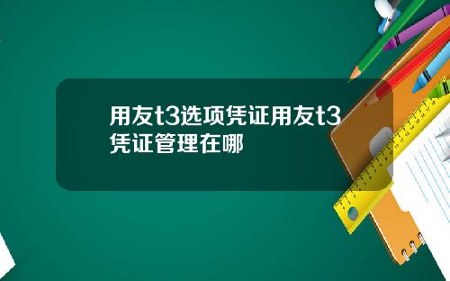 用友t3选项凭证用友t3凭证管理在哪