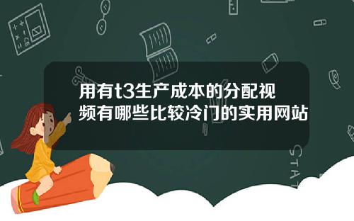 用有t3生产成本的分配视频有哪些比较冷门的实用网站