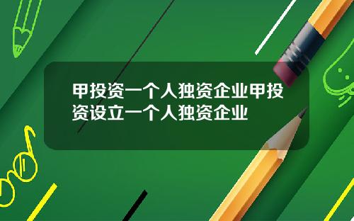 甲投资一个人独资企业甲投资设立一个人独资企业