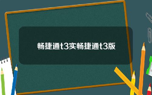 畅捷通t3实畅捷通t3版