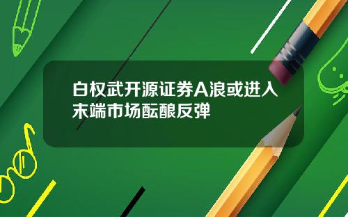 白权武开源证券A浪或进入末端市场酝酿反弹