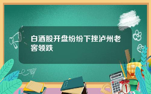 白酒股开盘纷纷下挫泸州老窖领跌