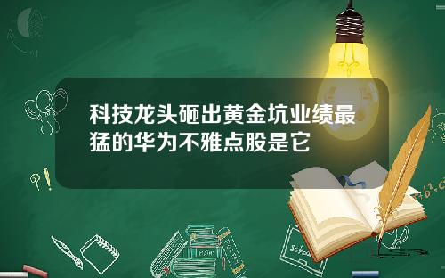 科技龙头砸出黄金坑业绩最猛的华为不雅点股是它