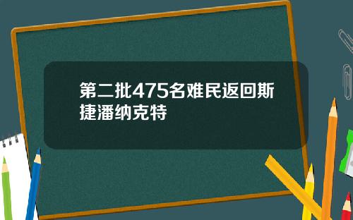 第二批475名难民返回斯捷潘纳克特