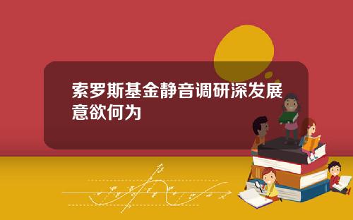 索罗斯基金静音调研深发展意欲何为