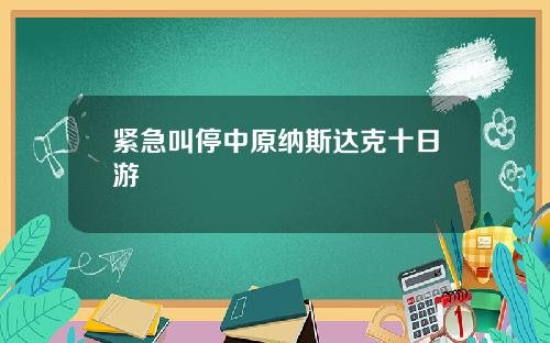 紧急叫停中原纳斯达克十日游