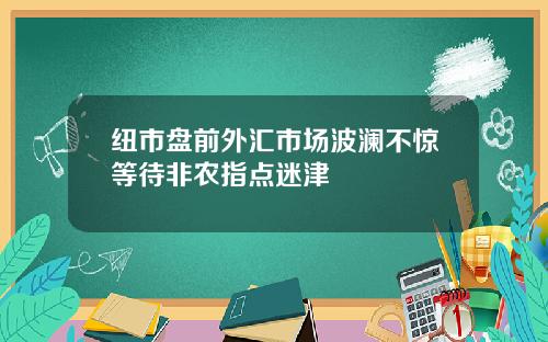 纽市盘前外汇市场波澜不惊等待非农指点迷津