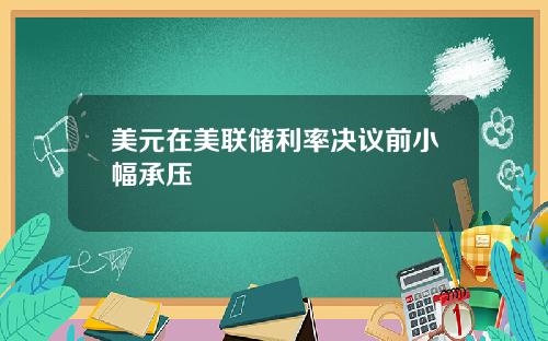 美元在美联储利率决议前小幅承压