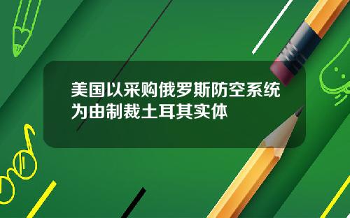 美国以采购俄罗斯防空系统为由制裁土耳其实体