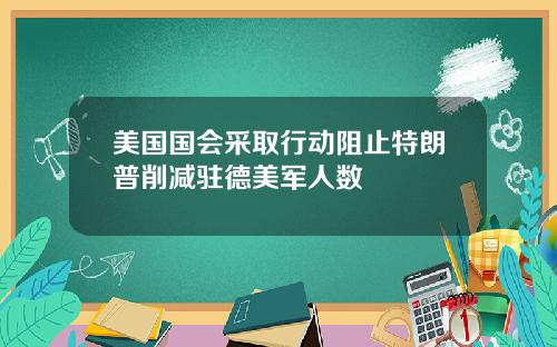 美国国会采取行动阻止特朗普削减驻德美军人数