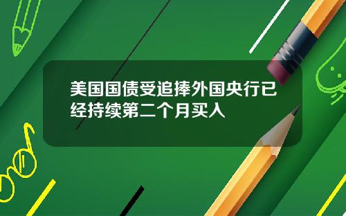 美国国债受追捧外国央行已经持续第二个月买入