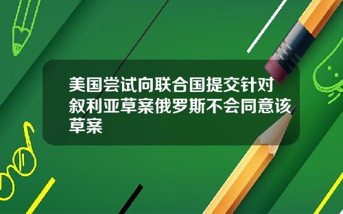 美国尝试向联合国提交针对叙利亚草案俄罗斯不会同意该草案