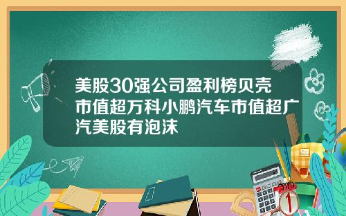 美股30强公司盈利榜贝壳市值超万科小鹏汽车市值超广汽美股有泡沫