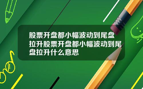 股票开盘都小幅波动到尾盘拉升股票开盘都小幅波动到尾盘拉升什么意思