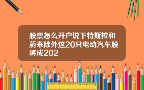 股票怎么开户说下特斯拉和蔚来除外这20只电动汽车股将成202