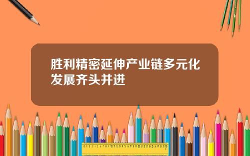 胜利精密延伸产业链多元化发展齐头并进