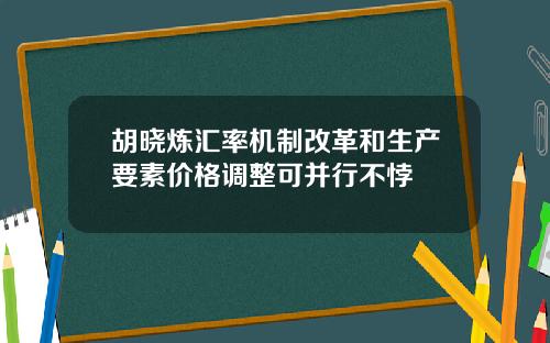 胡晓炼汇率机制改革和生产要素价格调整可并行不悖