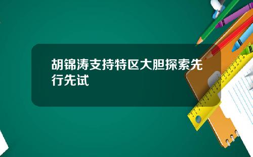 胡锦涛支持特区大胆探索先行先试