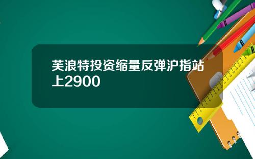 芙浪特投资缩量反弹沪指站上2900