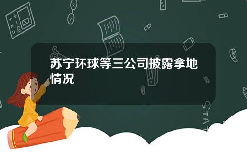 苏宁环球等三公司披露拿地情况