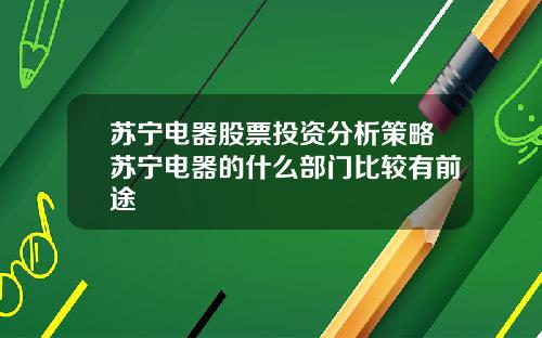 苏宁电器股票投资分析策略苏宁电器的什么部门比较有前途