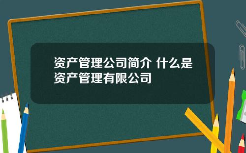 资产管理公司简介 什么是资产管理有限公司