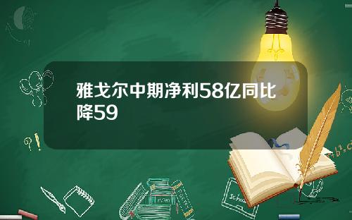 雅戈尔中期净利58亿同比降59