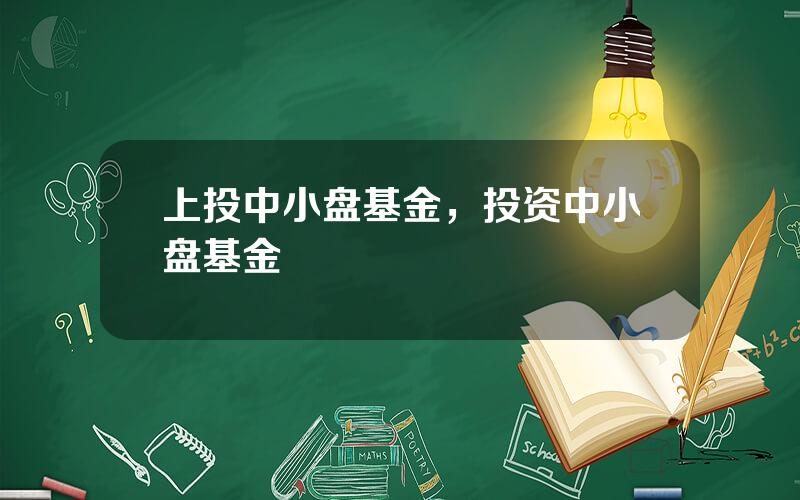 上投中小盘基金，投资中小盘基金