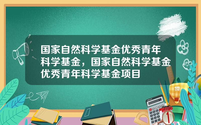 国家自然科学基金优秀青年科学基金，国家自然科学基金优秀青年科学基金项目