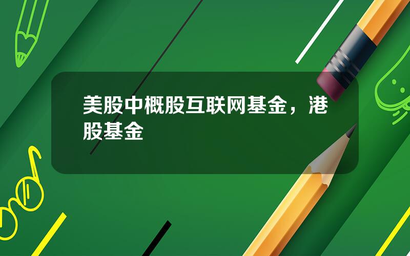 美股中概股互联网基金，港股基金