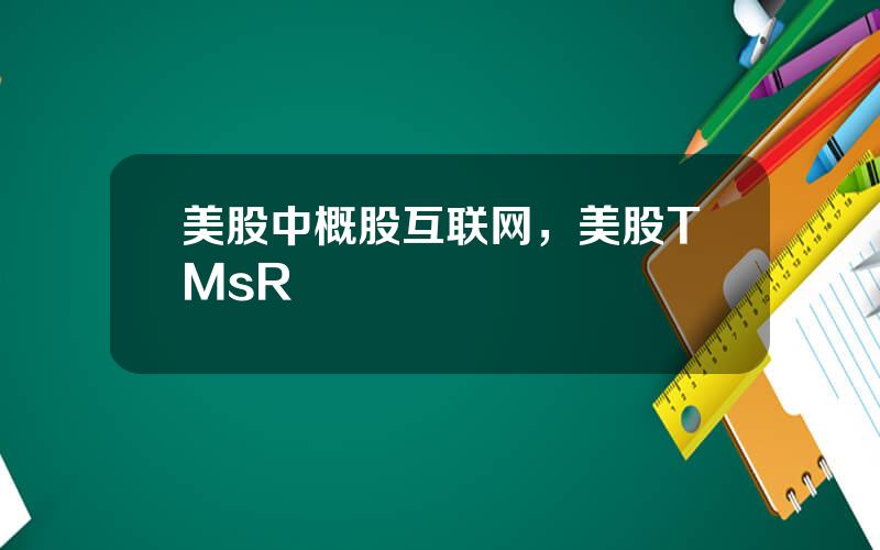 美股中概股互联网，美股TMsR