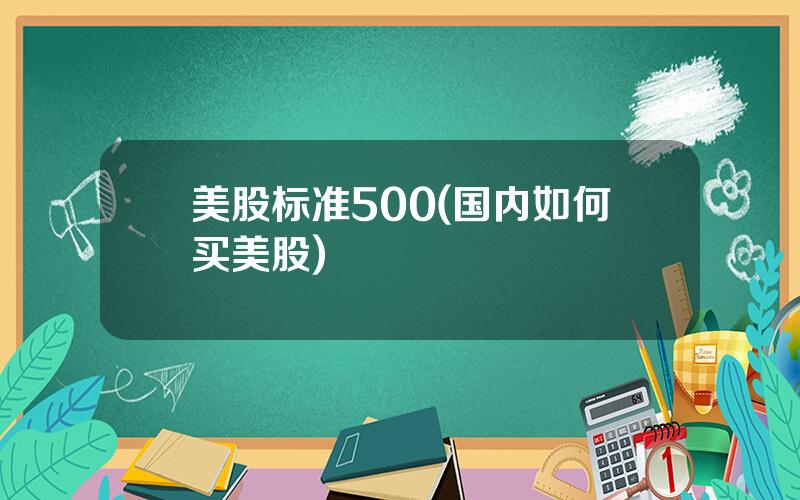 美股标准500(国内如何买美股)