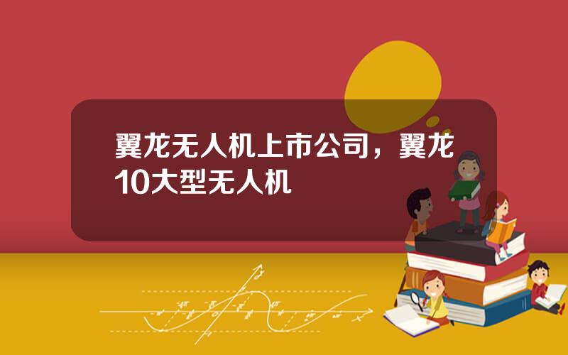 翼龙无人机上市公司，翼龙10大型无人机