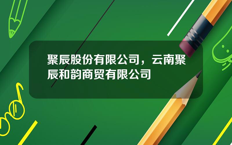 聚辰股份有限公司，云南聚辰和韵商贸有限公司