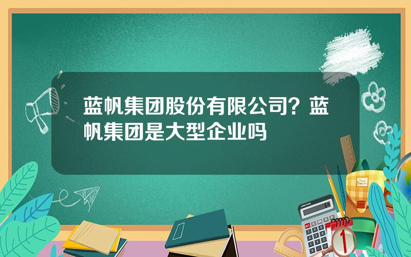 蓝帆集团股份有限公司？蓝帆集团是大型企业吗