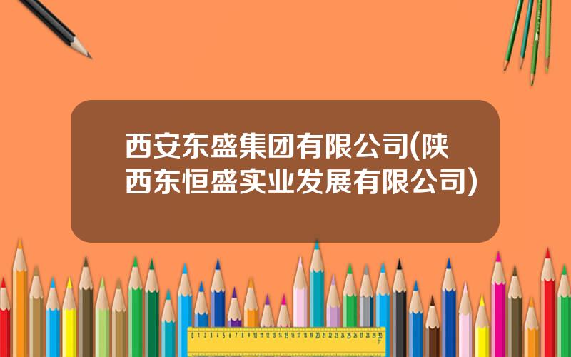 西安东盛集团有限公司(陕西东恒盛实业发展有限公司)