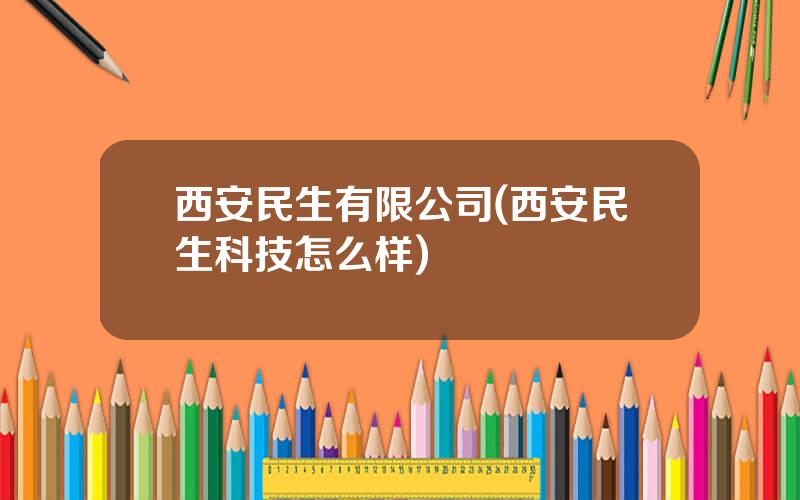 西安民生有限公司(西安民生科技怎么样)