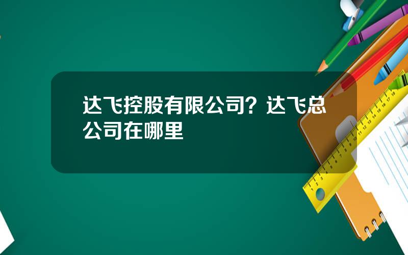 达飞控股有限公司？达飞总公司在哪里